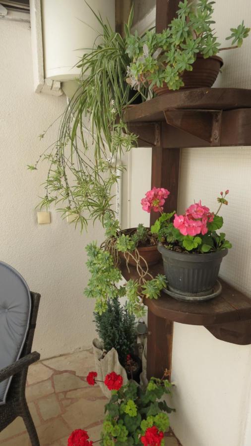 Apartment Agava Dubrovnik Kültér fotó